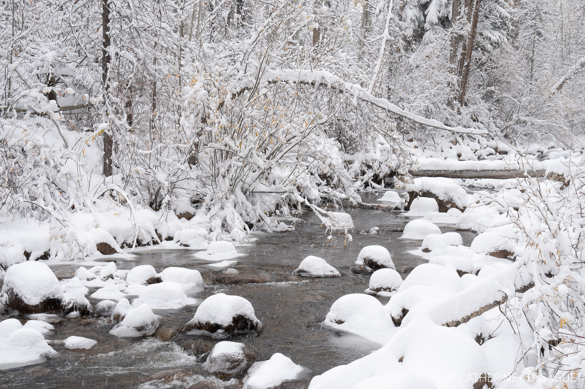 river, trees, snow