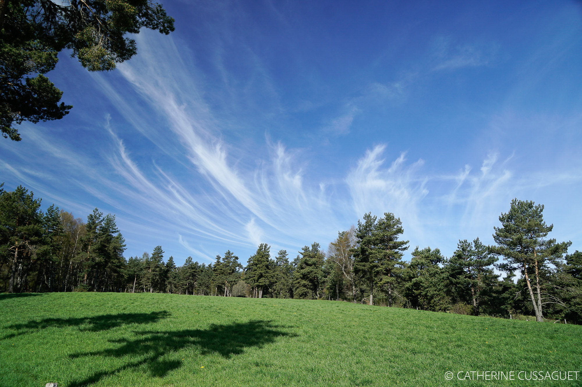 clouds forming in blue sky