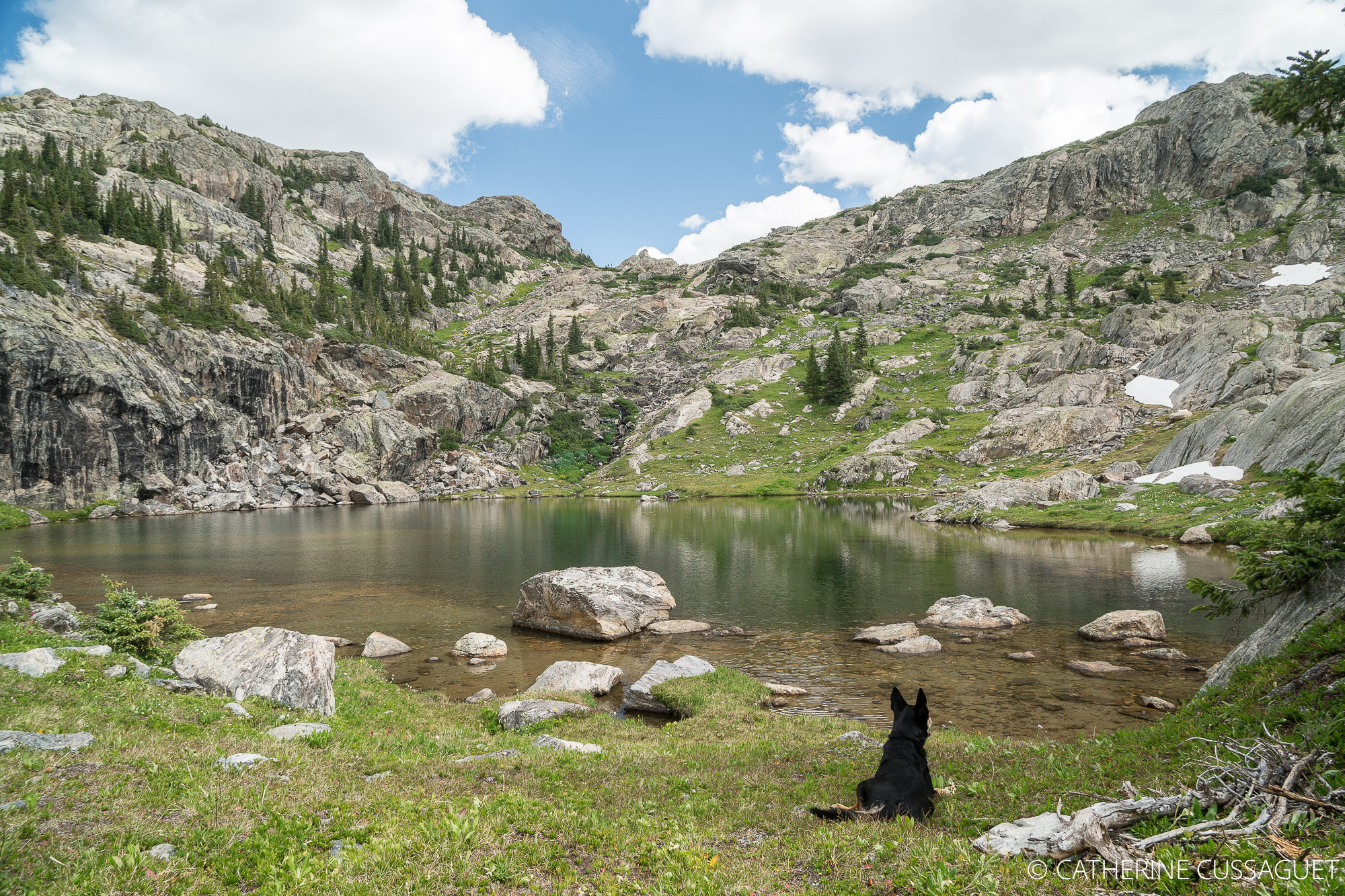 Dog and lake