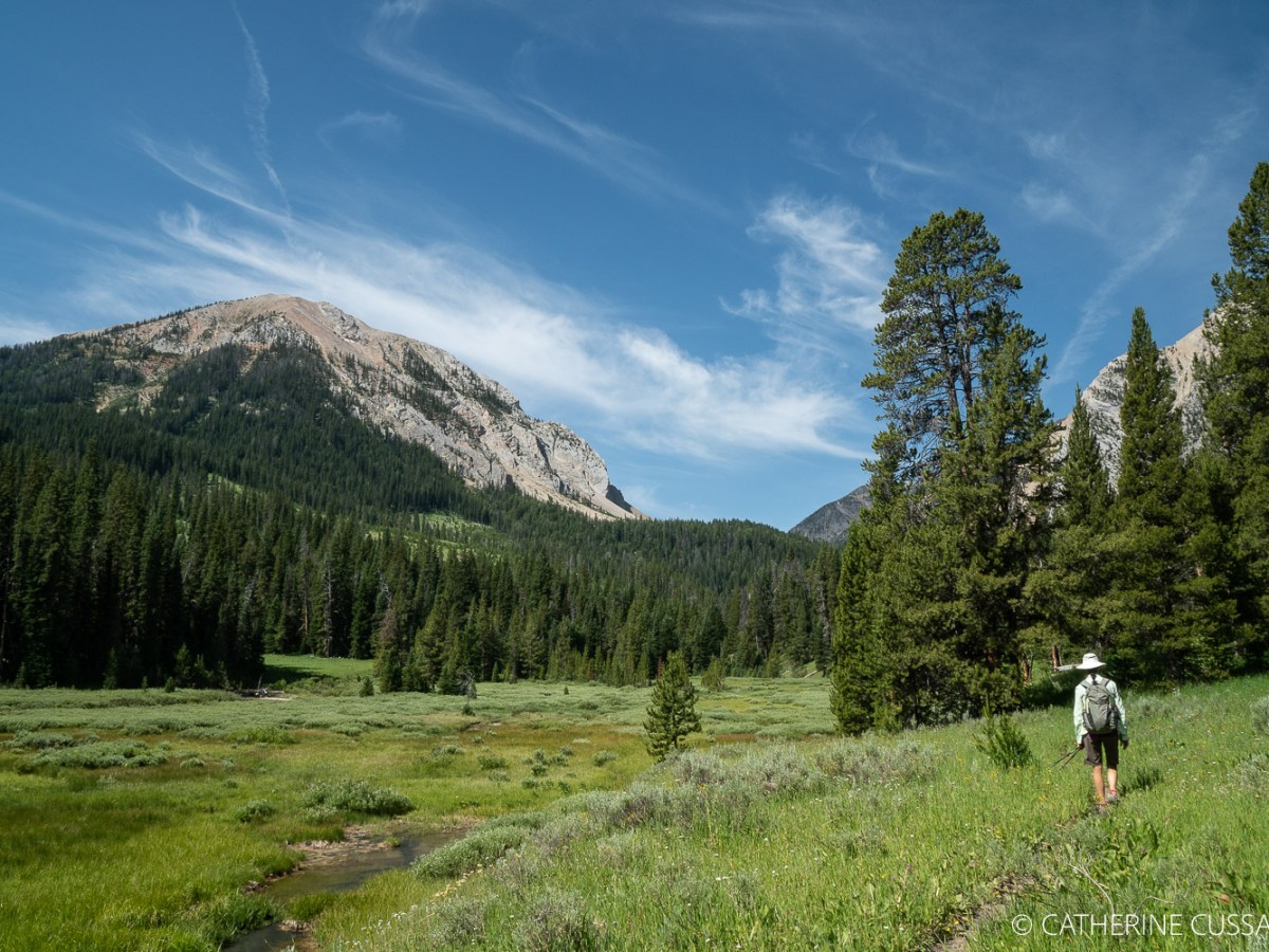 Walking to be human&nbsp;again